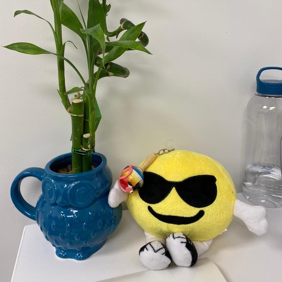 Meet your Posher, Raissa - Picture 1 of 1